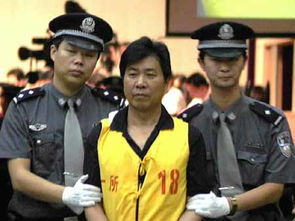 张书海妻子王雨现状，张书海儿子临刑
