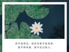 饭疏食,饮水,曲肱而枕之,乐亦在其中矣