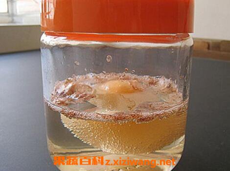 醋蛋液的功效与作用是什么