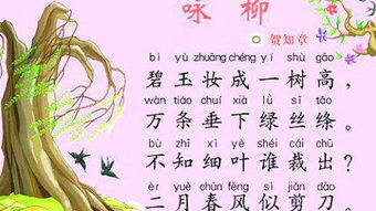 似的拼音是什么