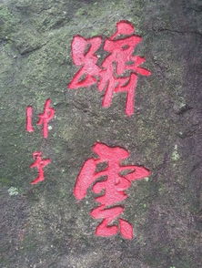 饺子云，老子云祸兮福之所倚福兮祸之所伏作文