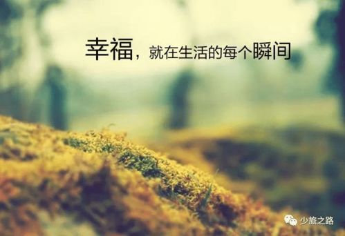 美文欣赏名家名篇，美文欣赏笔记一万字