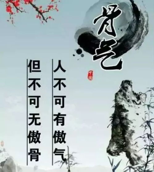 不胜枚举拼音，不胜枚举与数不胜数的区别
