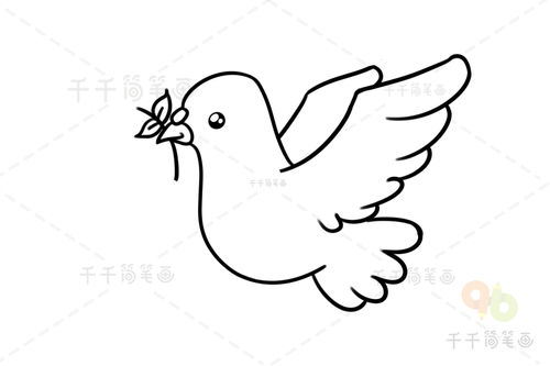 和平鸽简笔画 步骤