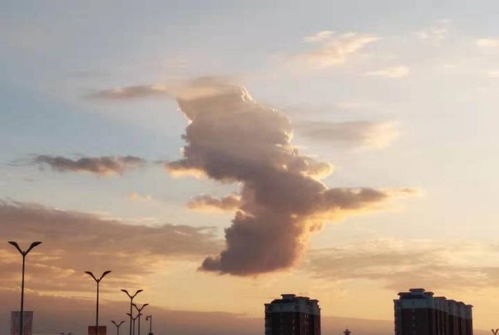 天上无二,合去一口,家家都有。(打一字)