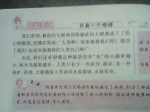 六年级上册第四单元作文笔尖流出的故事500字，六年级上册第四单元作文500字