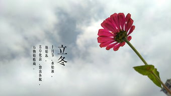 明媚的意思