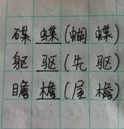 相加偏旁组词组，相加偏旁组词20个