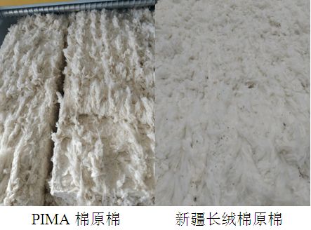 匹马棉是什么面料,有什么优劣势吗?