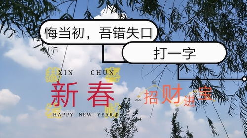 问苍天人在何方猜字谜，问苍天人情何在