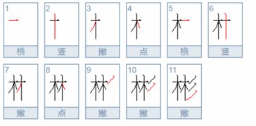 彪怎么读?