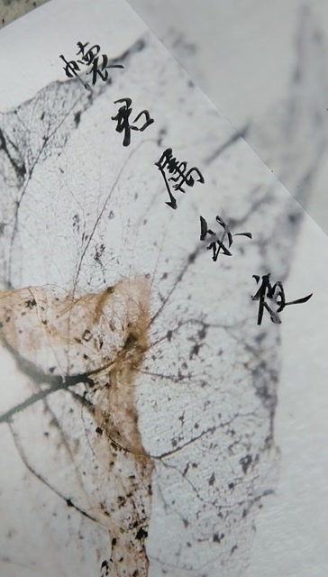 秋夜寄邱十二员外古诗带拼音