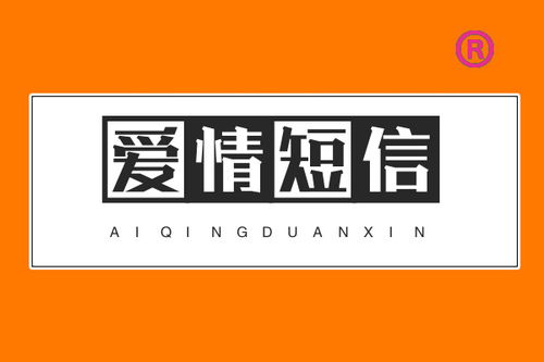 抄组词有哪些