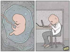 不过如此的意思是什么