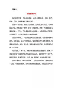 六年级上册第四单元作文