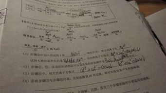 mgoh2是沉淀吗什么颜色，初中必背10个沉淀