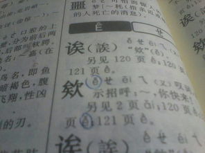 憩怎么读音是什么意思