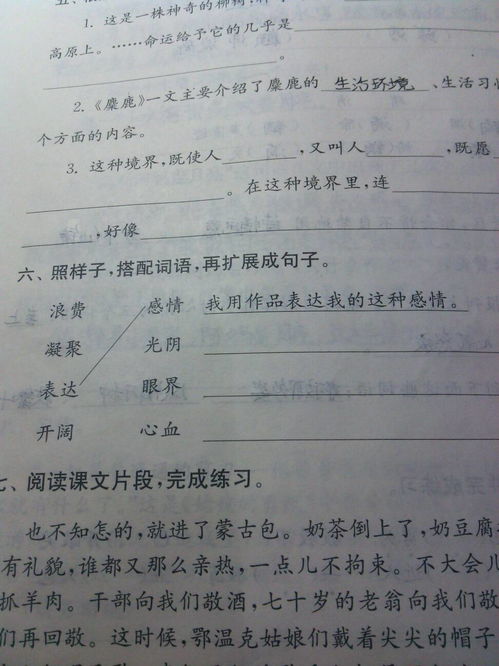 舛怎么读什么意思组词