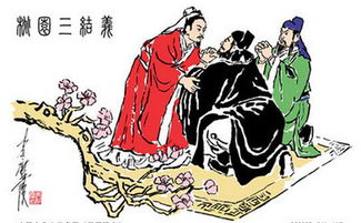 三国演义感想50字，三国演义感想与收获