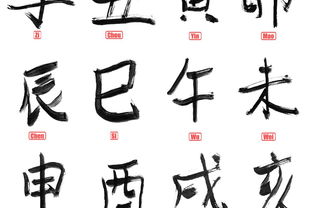 裳的拼音和组词和部首，虹的拼音和组词和结构