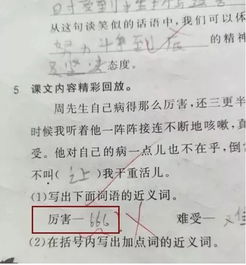 频繁的意思是什么?