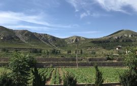 独山天气预报一周7天，贵州黔南独山天气