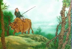 所见的意思古诗，所见的意思古诗翻译