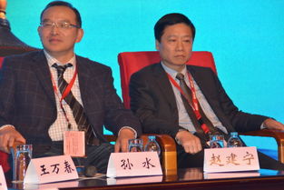 王友发，王友林