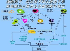 CULT是什么缩写