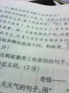 埋没的近义词是什么
