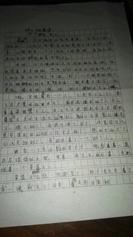 一件小事作文800字初中作文，一件小事作文400字