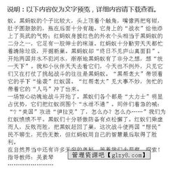 战争的作文
