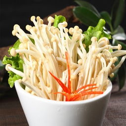 金针菇英文名 金针菇的英名是什么