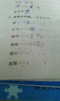 荒凉的反义词。