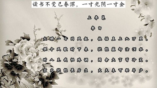 万里悲秋常作客什么意思，万里悲秋常作客的八层含义
