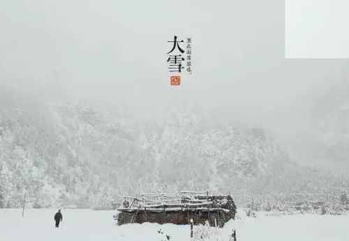 关于雪的谚语4年级下册，关于雪的谚语4年级成语