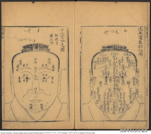 麻衣相法全书白话文，麻衣相法大全图解