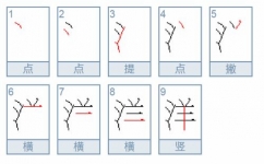 土字的笔顺，老字的笔顺_速网百科